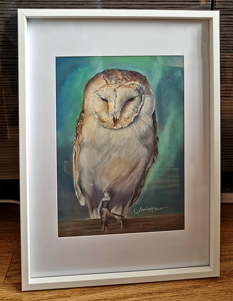  Owl - Original pastel portait for sale, framed 12" x 16" - £70
